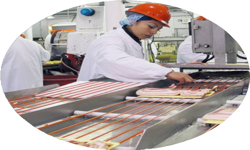 Servicios generales industriales